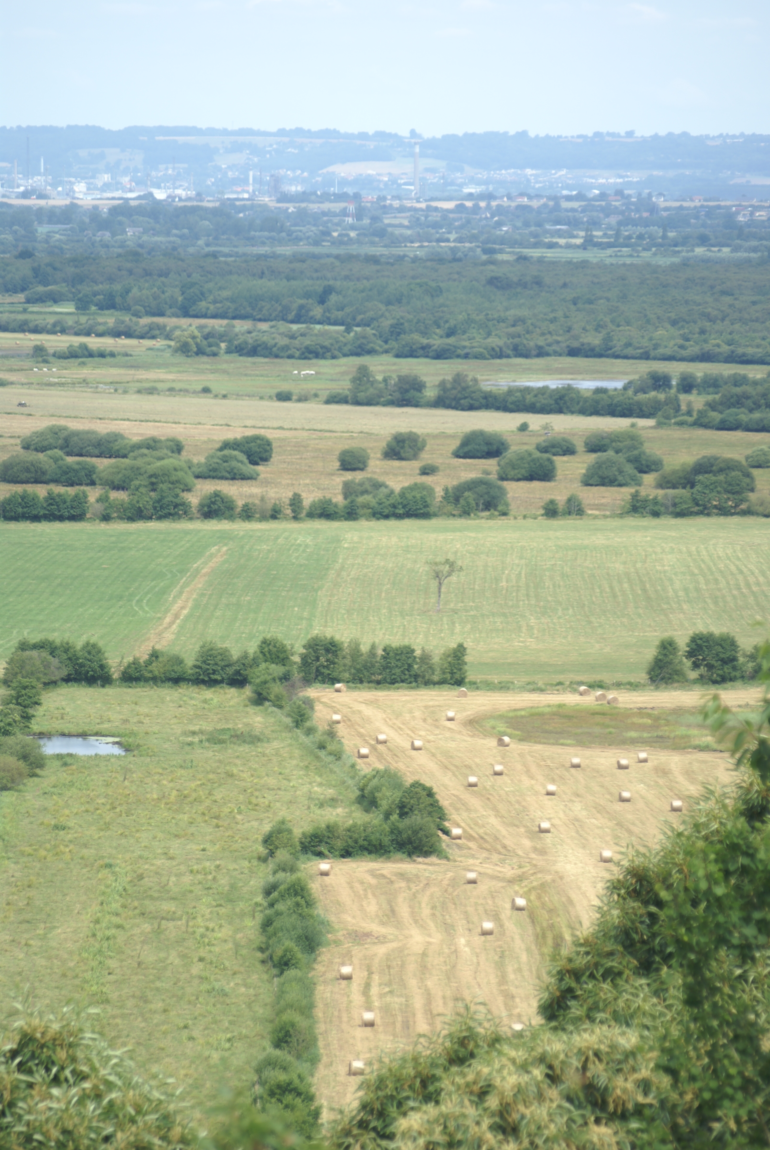 marais vernier bocage