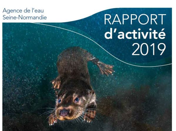 couverture Rapport d'activité 2019