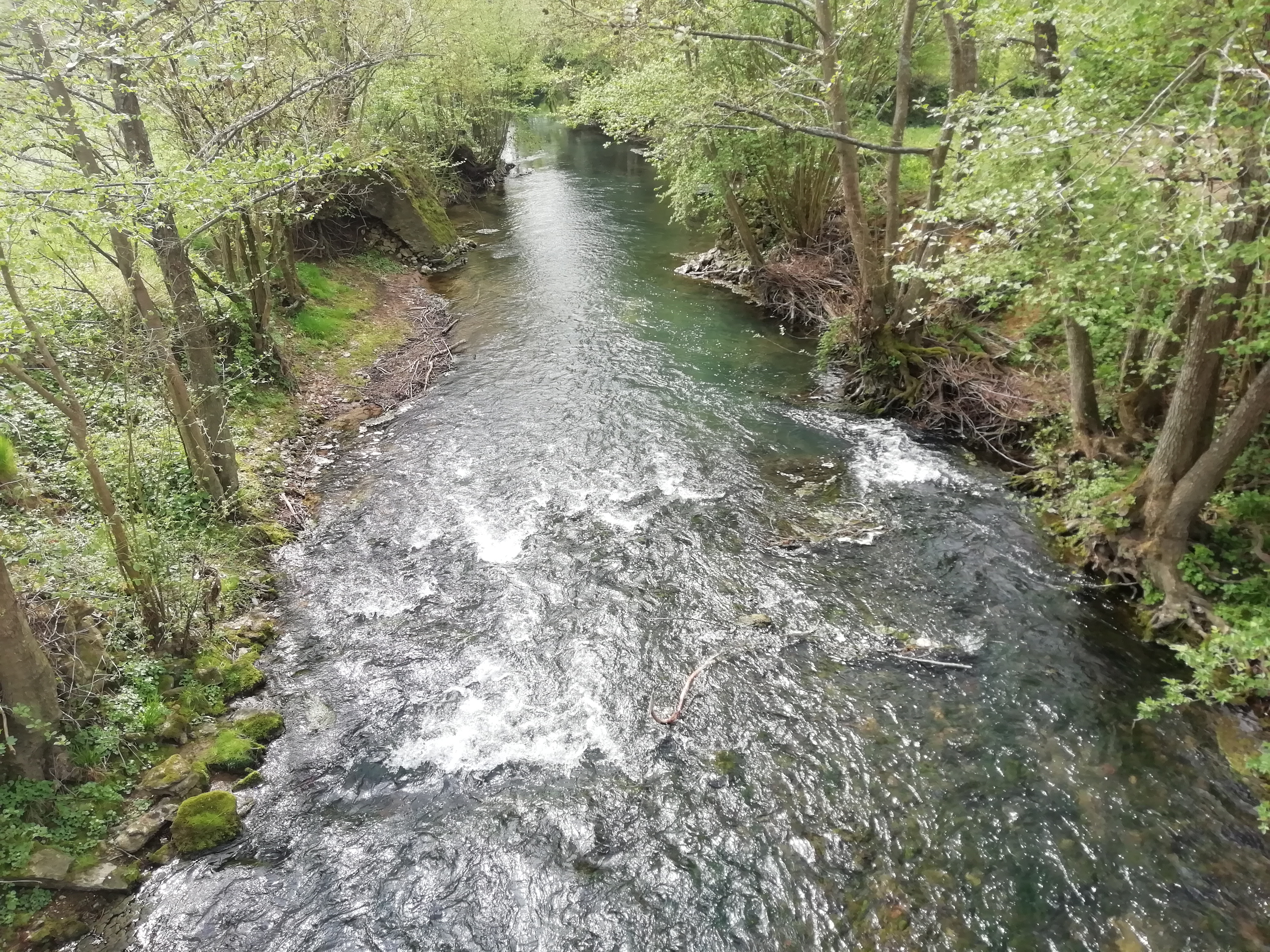 Rivière du grand morin 