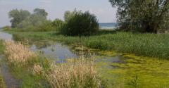 photo marais ramsar